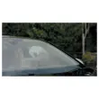 Lingettes nettoyantes voiture - ARMOR ALL 