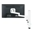 Bras porte-écran simple B-XP