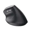 Souris egonomique BAYO II sans fil - Noire