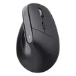 Souris egonomique BAYO+ sans fil - Noire