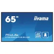 Ecran 65" IIYAMA + support mobile à roulettes