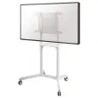 Support roulettes standard pour écran Flip 55 - 65"