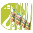 12 Crayons de couleur GREENcolors - Bois FSC® - Couleurs assorties - STABILO