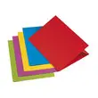 50 Chemises &agrave; rabat lat&eacute;ral  - 210 g - Assortis vifs - Exacompta 