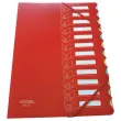 Trieur chemise bi-matière - 12 compartiments - EXTENDOS
