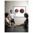Écran de projection mural manuel 180 x 180 cm - Bi-office