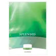 Bloc de cours, 70g, 100 feuilles A4 ligné perforé 2 trous