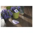 Bo&icirc;te de 250 cartes de visite mates jet d'encre et laser - 85x54 mm - AVERY 