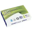 240 Ramettes de 500 feuilles de papier blanc recycl&eacute; 100% EVERCOPY A4 80g 