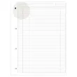 Cahier A4+ notebook International - Oxford 