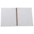 Cahier A4+ notebook International - Oxford 