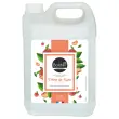 Bidon de 5 litres de savon liquide - Senteur pêche - Boldair