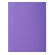 Paquet de 30 sous-chemises ROCK''S 80 - 22x31cm - Violine - EXACOMPTA