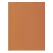 Paquet de 100 chemises ROCK''S 210 - 24x32cm - Havane - EXACOMPTA