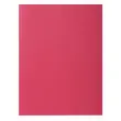 Paquet de 100 chemises ROCK''S 210 - 24x32cm - Framboise - EXACOMPTA 