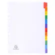 Intercalaires Imprim&eacute;s mensuels carte blanche 160g - 12 positions - A4 - Blanc - EXACOMPTA 