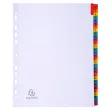 Intercalaires Imprim&eacute;s num&eacute;riques carte blanche 160g- 31 positions - A4 Maxi - Blanc - EXACOMPTA 