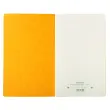 Piq&ucirc;re 32x19,5cm Journal de caisse ou banque 5 d&eacute;bits - 5 cr&eacute;dits 31 lignes 80 pages - EXACOMPTA 