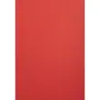 Paquet de 100 couvertures Grain cuir pour reliure A4 - Rouge EVER - EXACOMPTA