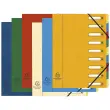 Trieur HARMONIKA® à fenêtres avec élastiques Nature Future carte lustrée 9 compartiments - Couleurs assorties - EXACOMPTA