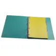 Intercalaires FOREVER YOUNG PP A4 10P - Exacompta 