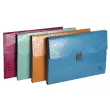 Trieur valisette 13 comp PP Maia assorti - Exacompta