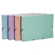 Trieur avec &eacute;lastiques - 12 compartiments- 34 x 24,5 cm - Coloris pastel - EXACOMPTA 
