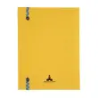 REG IDERAMA 220x170 192P LIGNE JAUNE FSC®