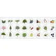 Rouleau de gommettes Arbres 360 unit&eacute;s - Apli 
