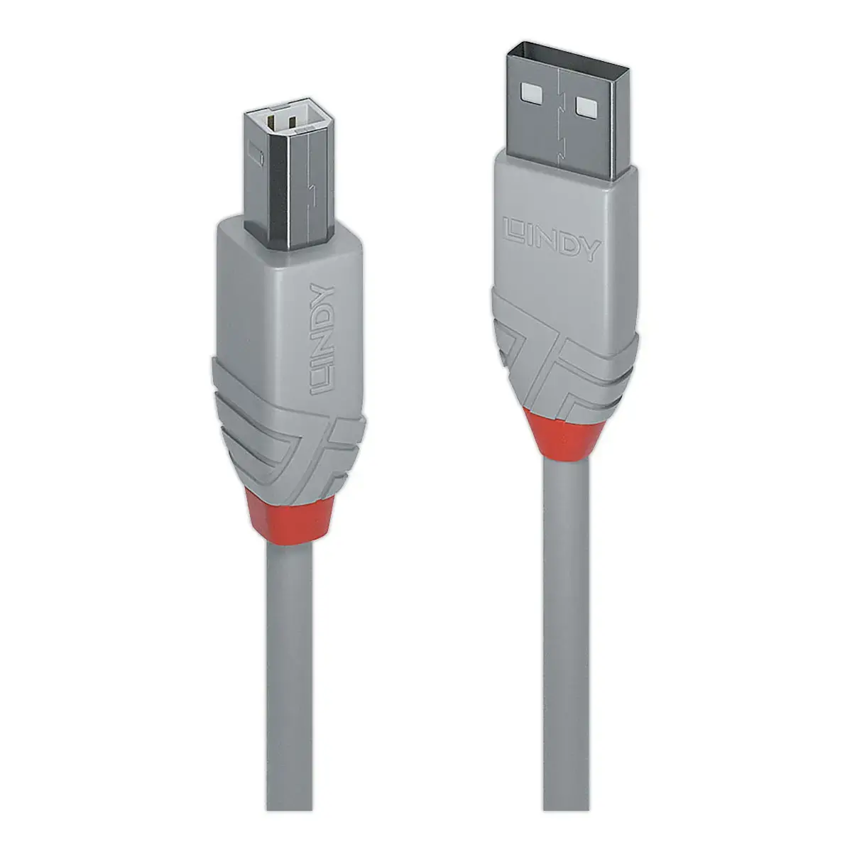 C&acirc;ble USB 2.0 - Type A m&acirc;le / B m&acirc;le - 1 m&egrave;tre - LINDY 