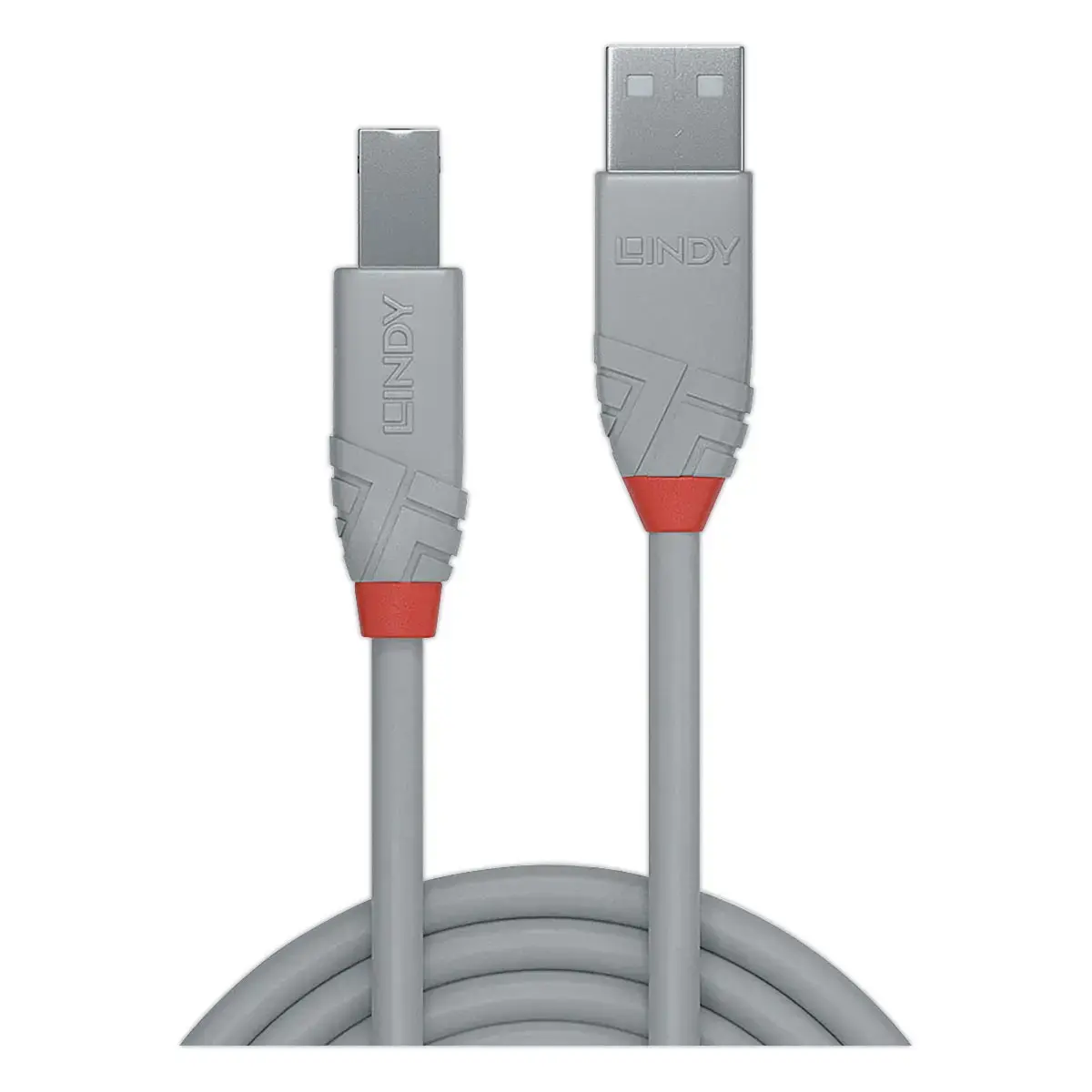 C&acirc;ble USB 2.0 - Type A m&acirc;le / B m&acirc;le - 1 m&egrave;tre - LINDY 