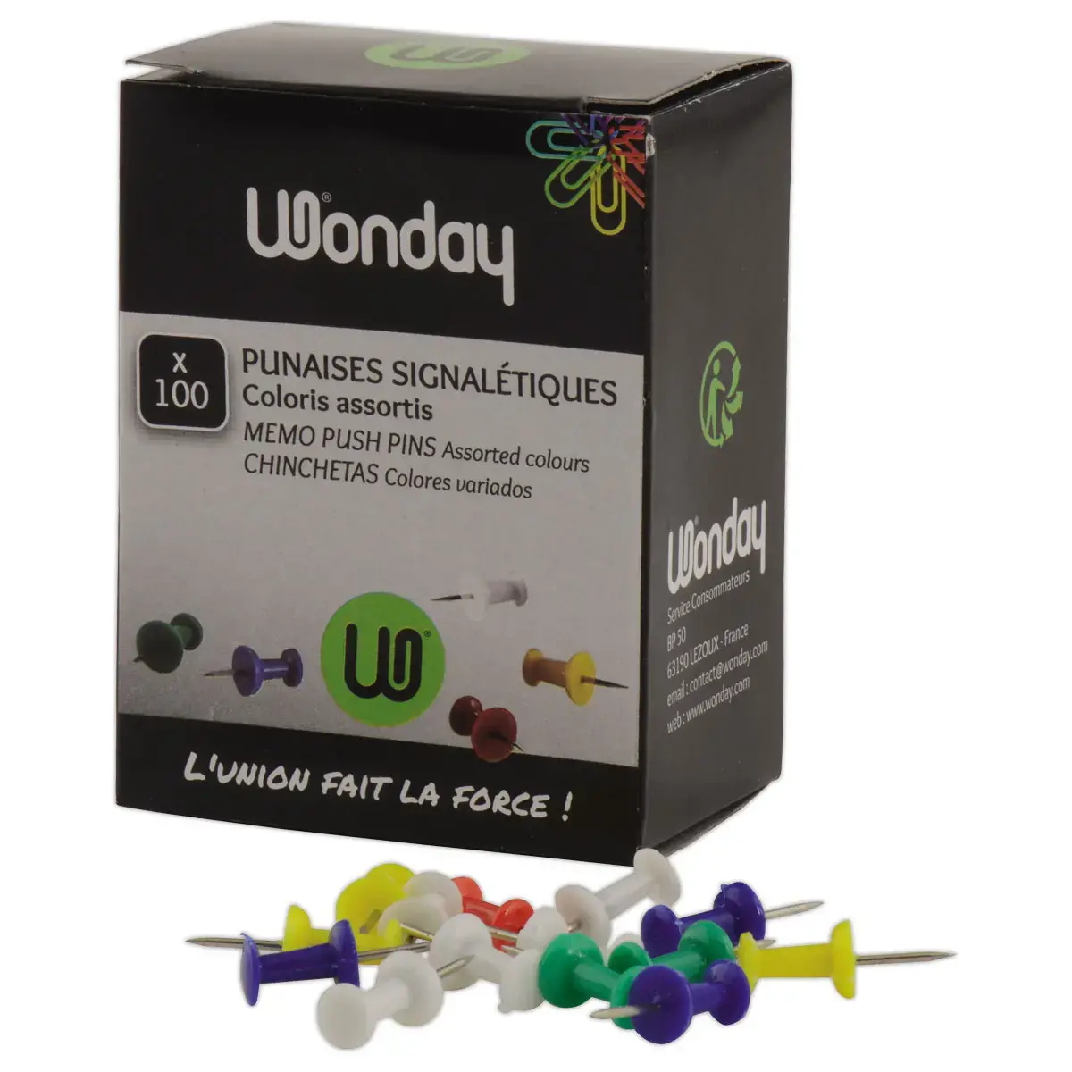 100 Punaises push-pins