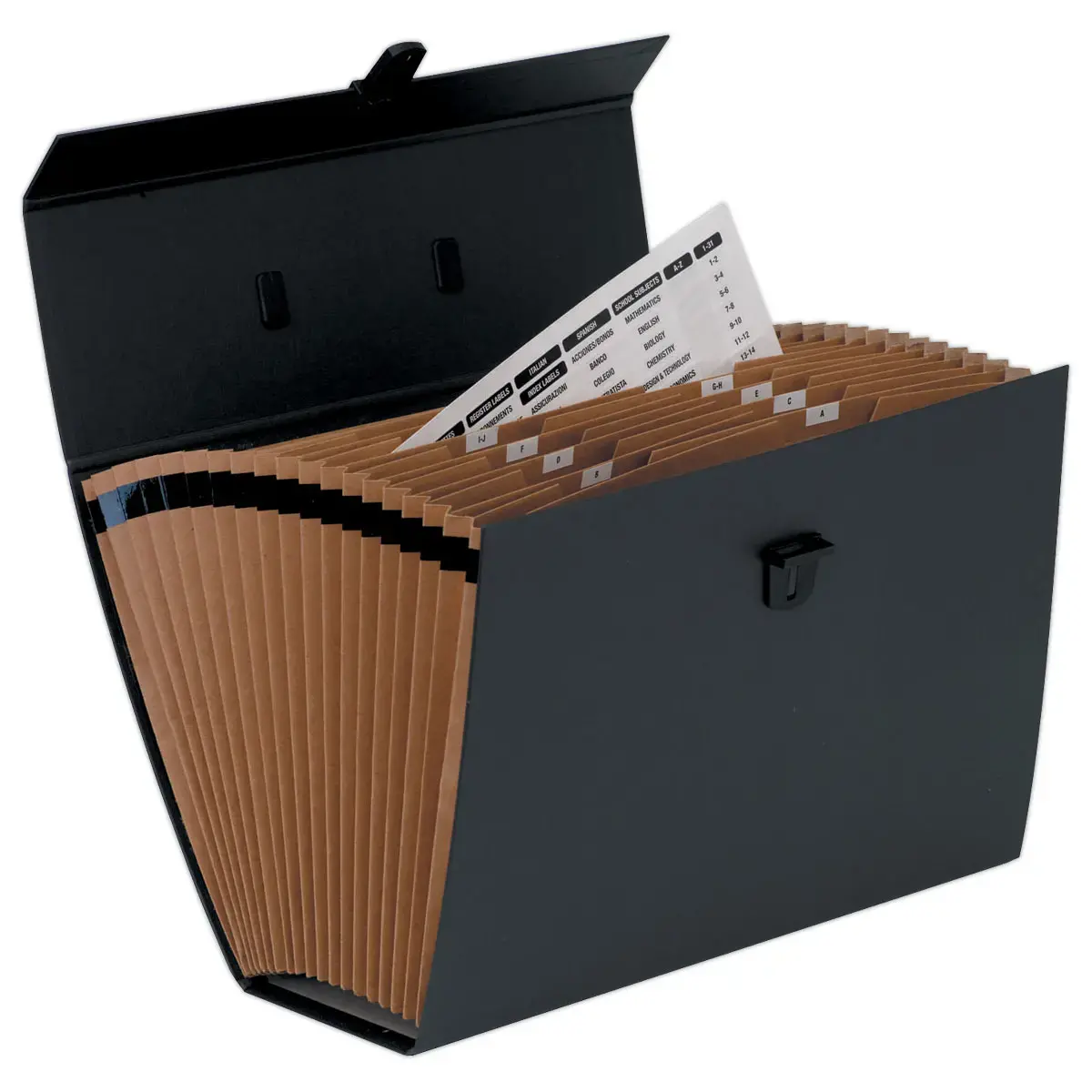 Trieur accordéon Handifile - Noir - FELLOWES