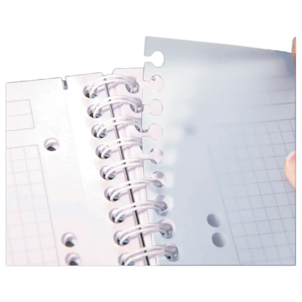 Cahier spirale A4+ Evolutiv'Book Linicolor - CLAIREFONTAINE