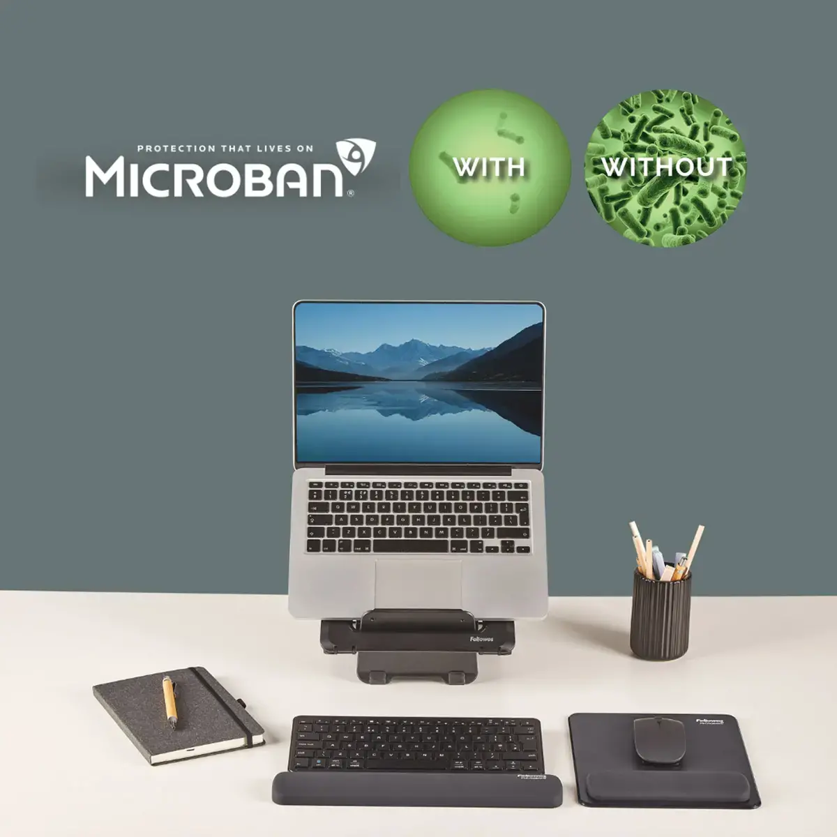 Repose-poignets clavier compact Breyta - Noir - Fellowes 