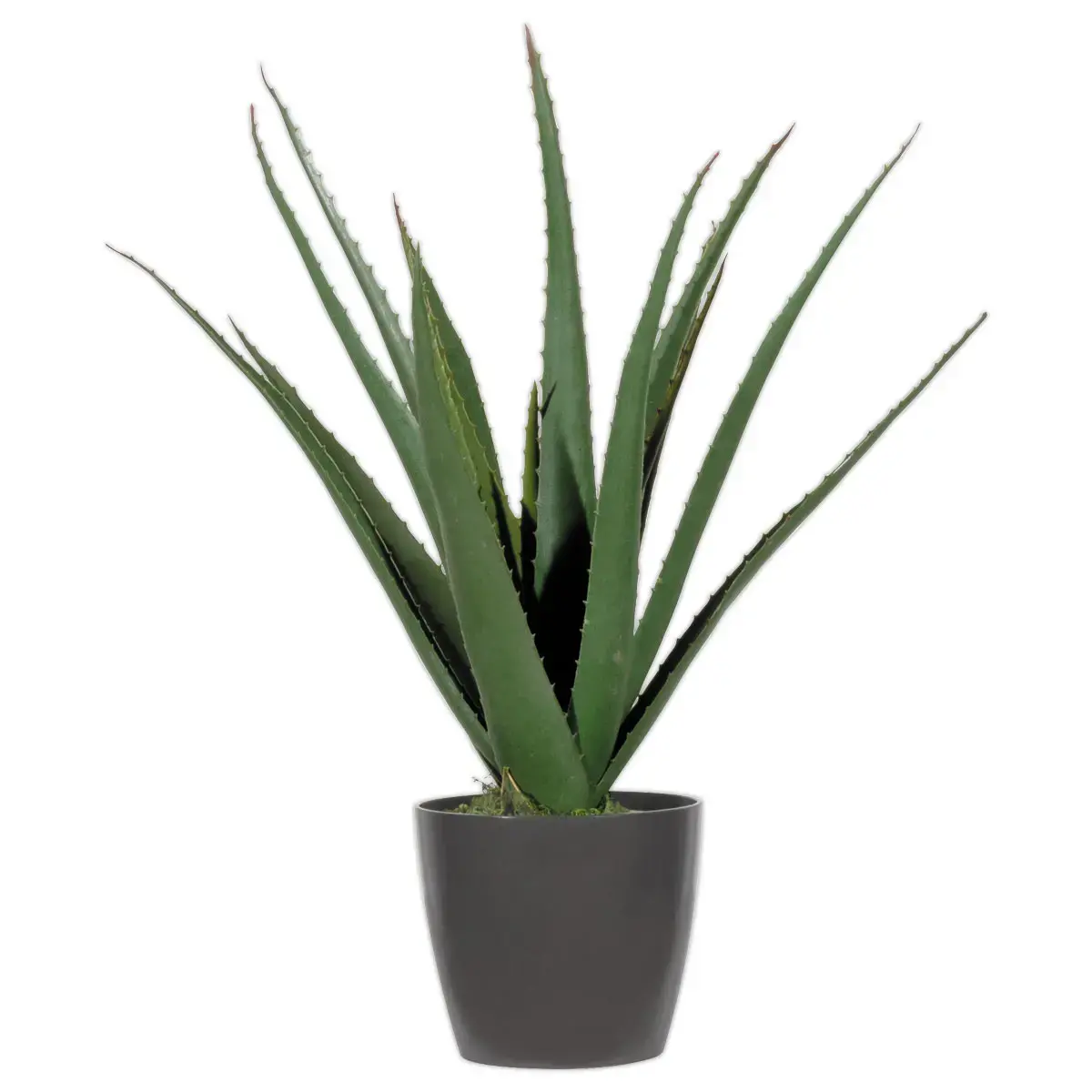 Plante artificielle Aloe vera - H 45 cm