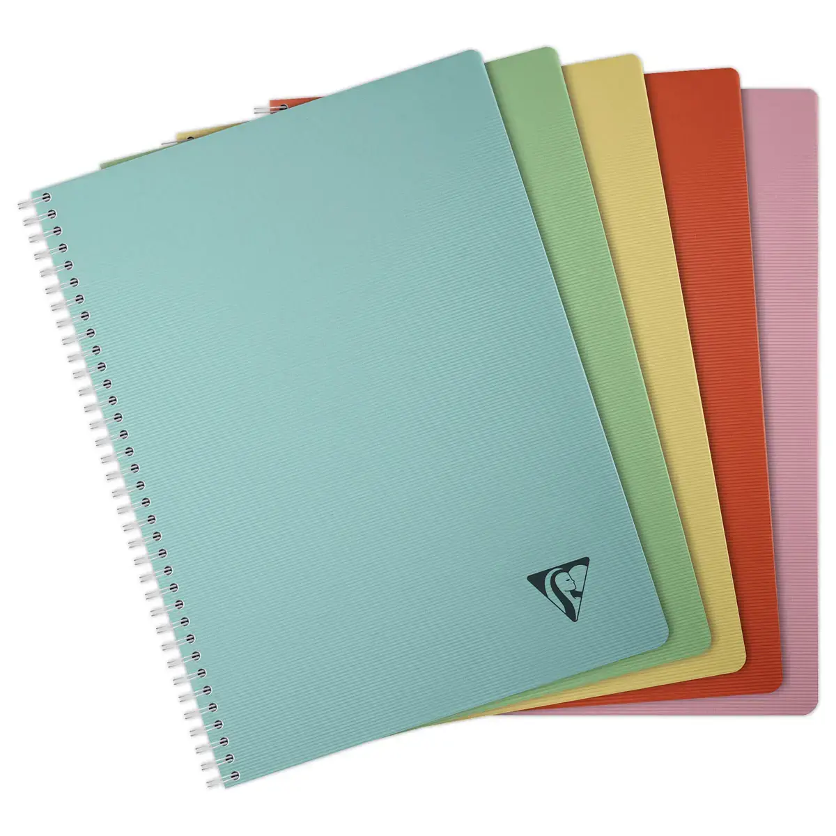 Cahier spirales Linicolor - A4 - 100 pages - 5x5 - CLAIREFONTAINE 