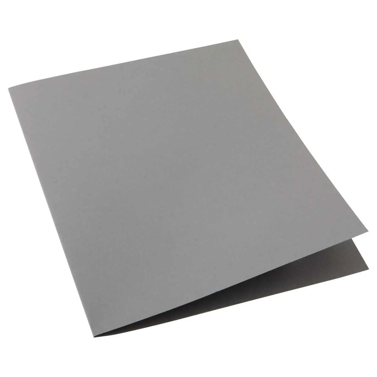 100 Chemises cartonnées colorées - Gris - FIDUCIAL