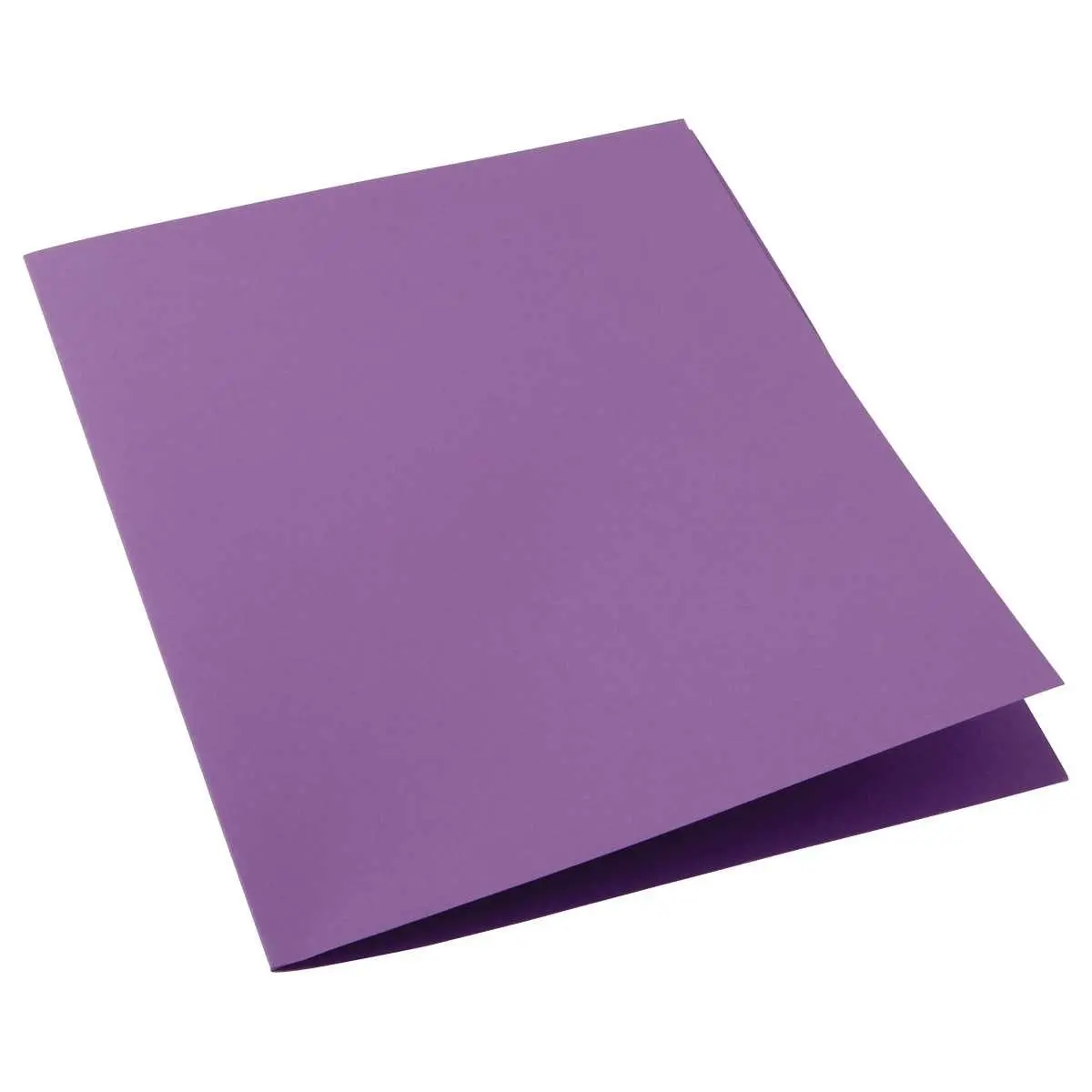 100 Chemises cartonnées colorées - Violet - FIDUCIAL