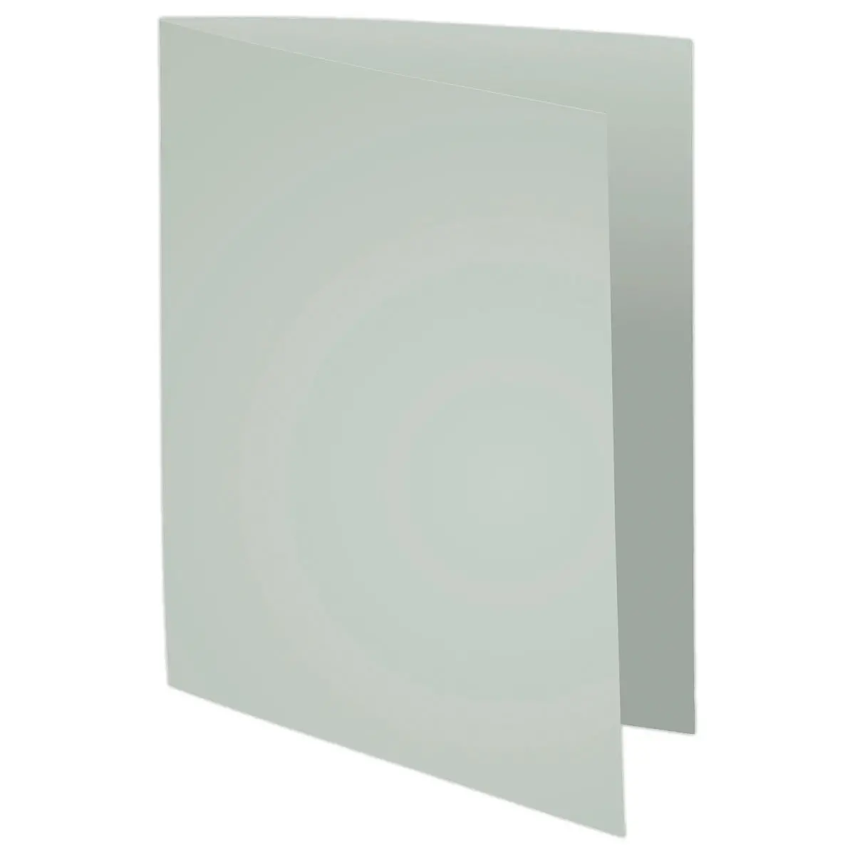 100 Chemises A4+ - gris pastel - 220g - FIDUCIAL OFFICE SOLUTIONS 