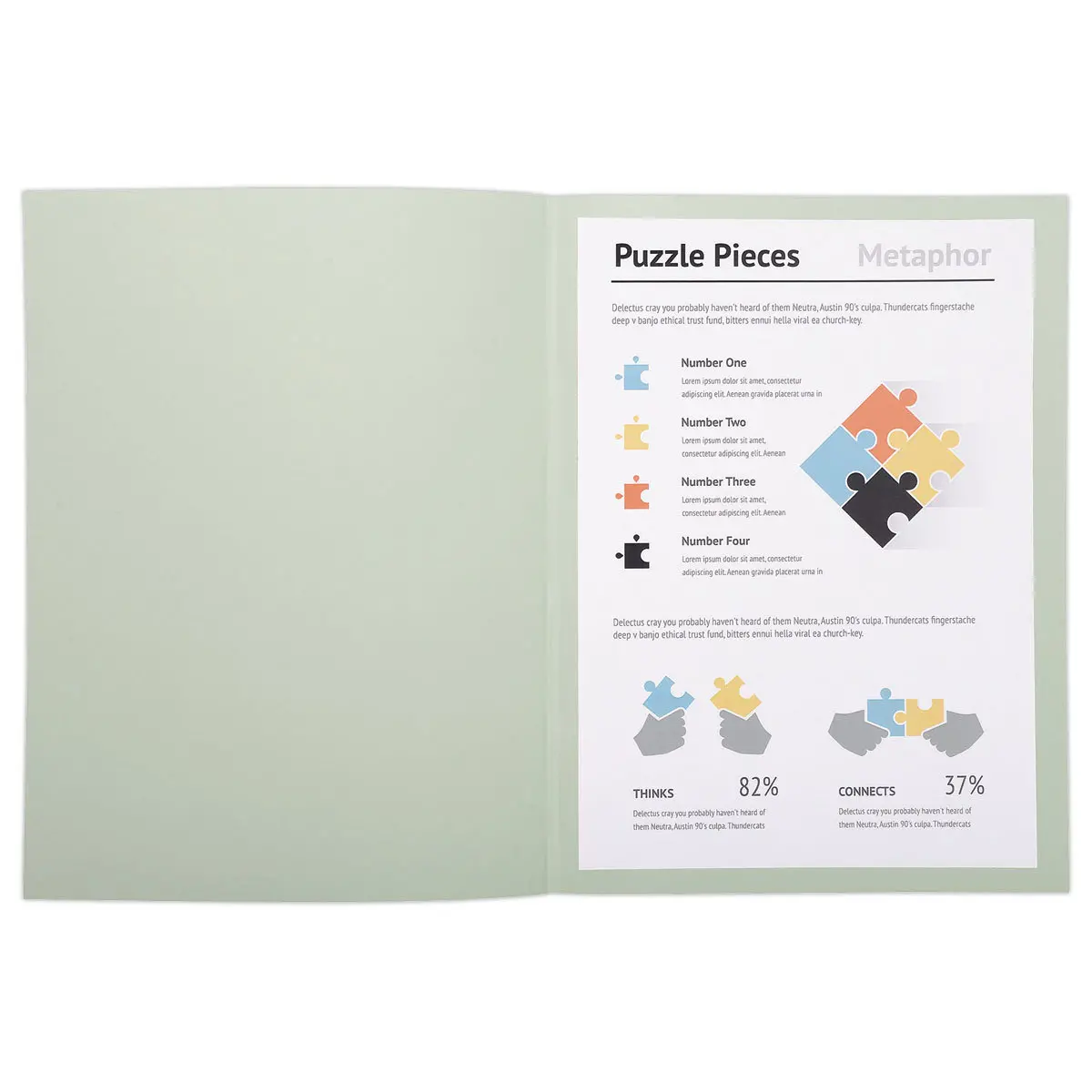100 Chemises A4+ - gris pastel - 220g - FIDUCIAL OFFICE SOLUTIONS 