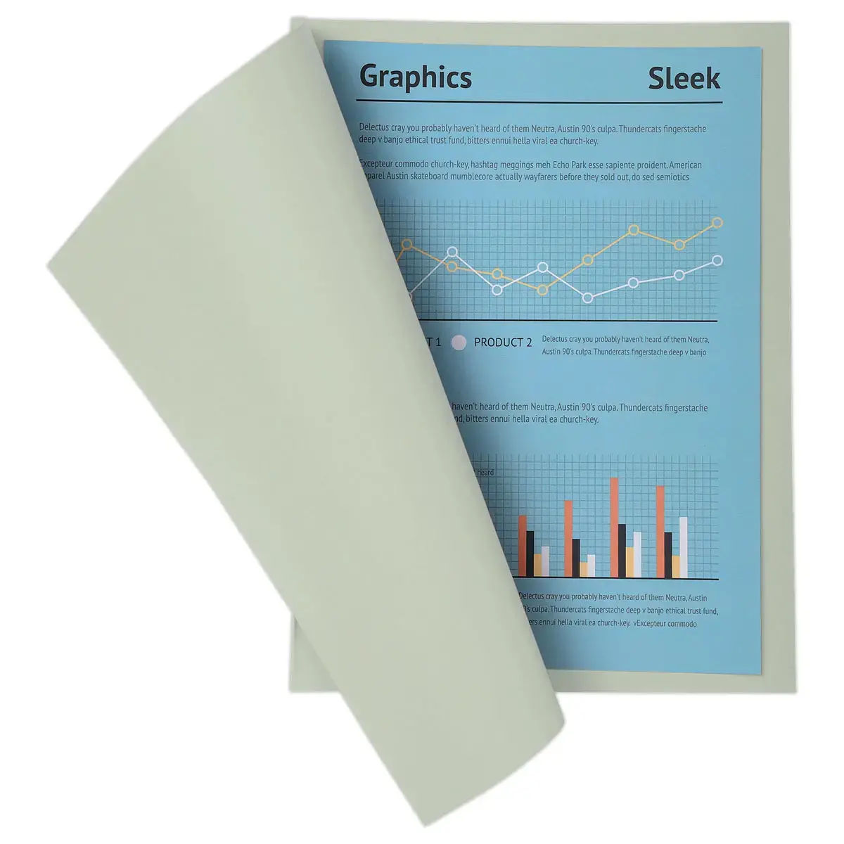 100 Chemises A4+ - gris pastel - 220g - FIDUCIAL OFFICE SOLUTIONS 