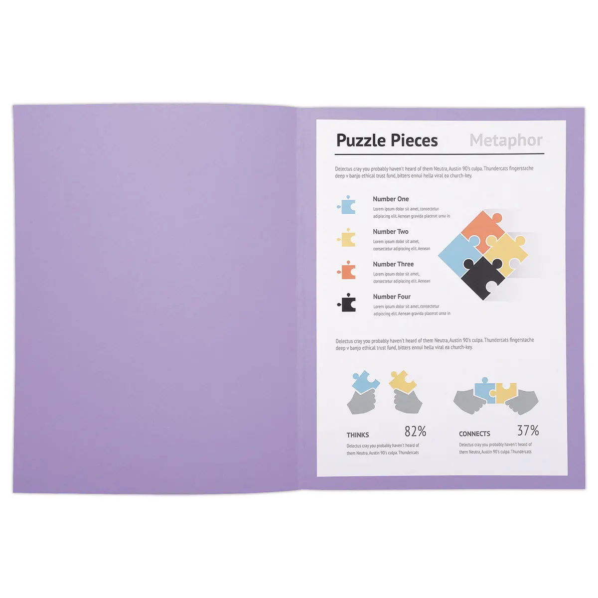 100 Chemises A4+ - violet pastel - 220g - FIDUCIAL OFFICE SOLUTIONS 