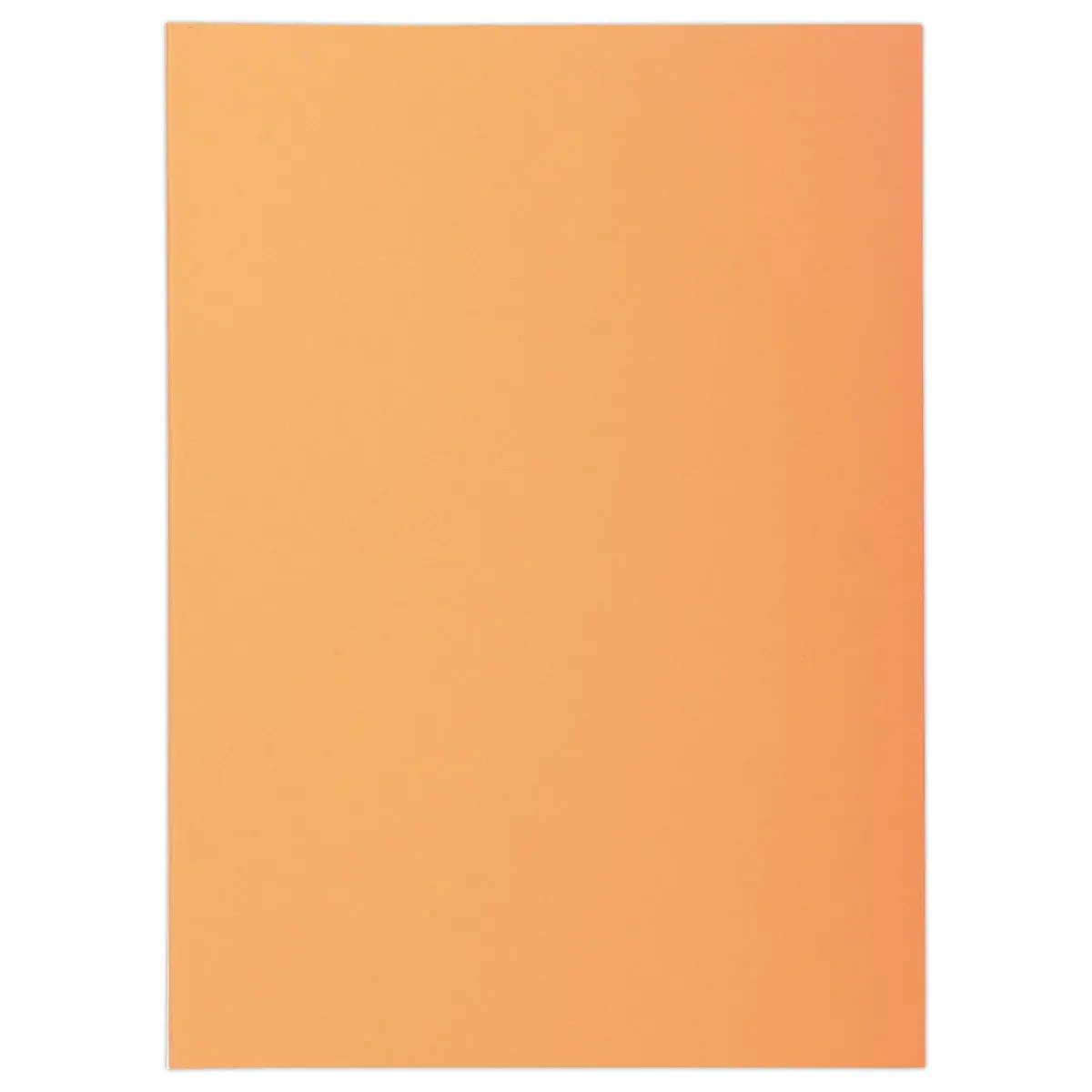 250 Sous-chemises FIDUCIAL 22x31cm- Pastel- 60g 