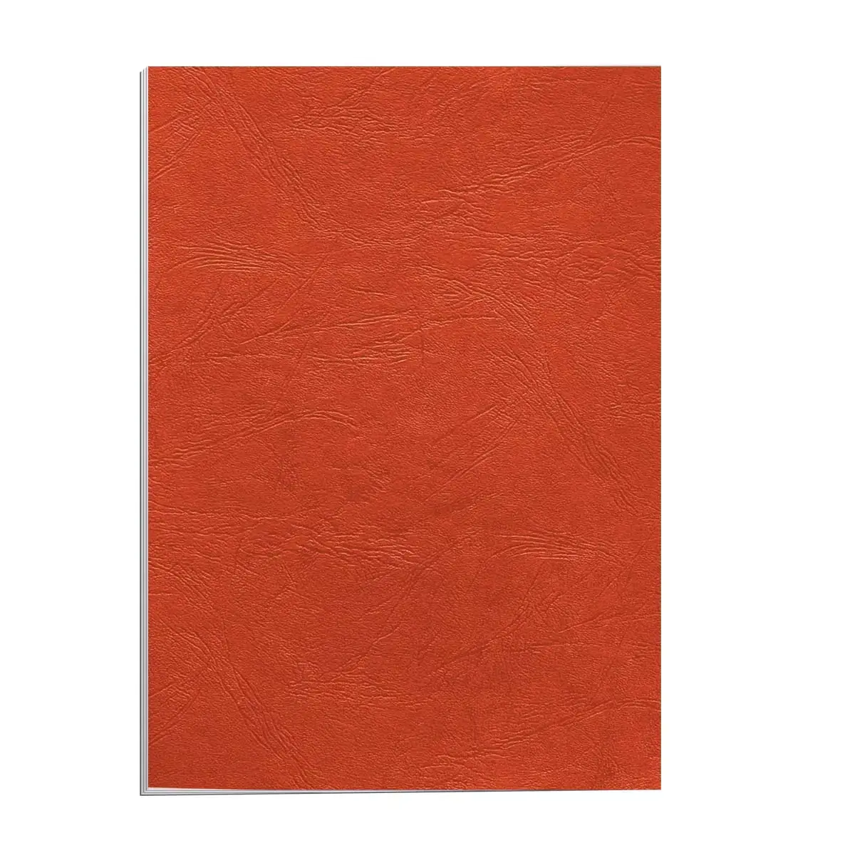 100 Couvertures A4 grain cuir - Rouge - Fellowes 