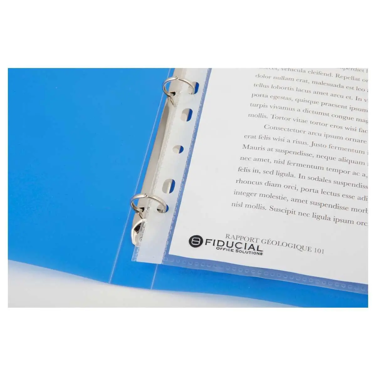 Classeur translucide coloré 4 anneaux, dos 2 cm - Bleu - FIDUCIAL