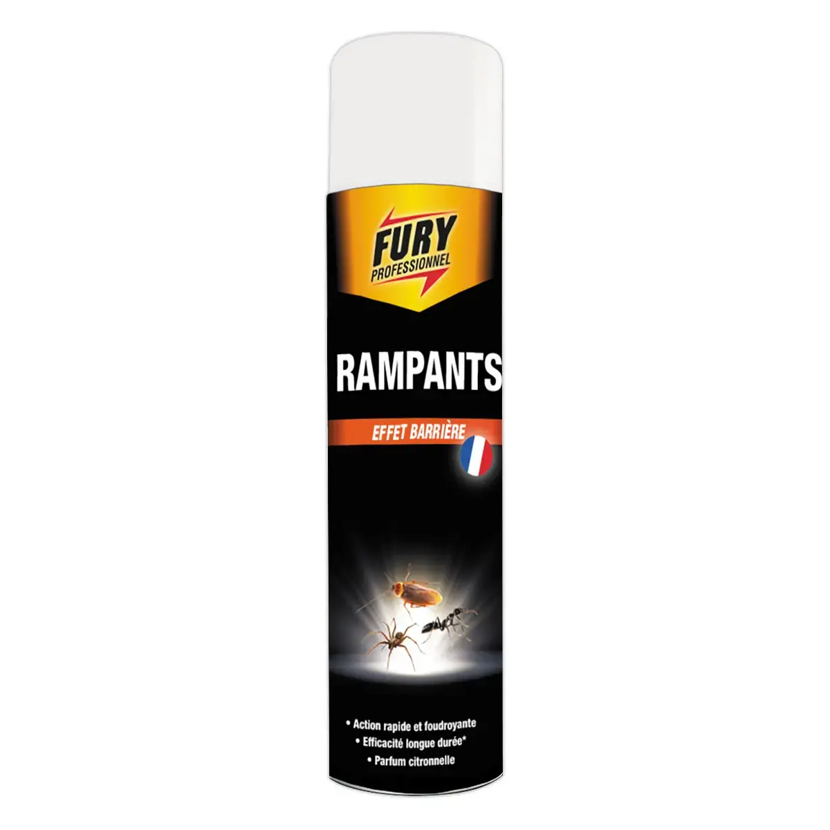 Insecticide tous rampants Fury 