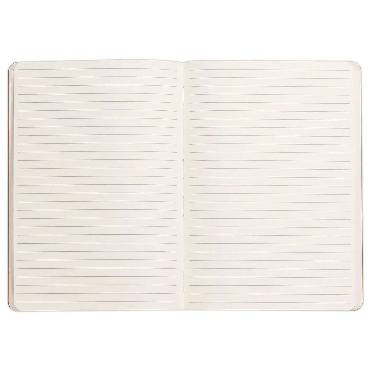 Carnet broch&eacute; Rhodiarama - A5 - 160 pages - noire - RHODIA 