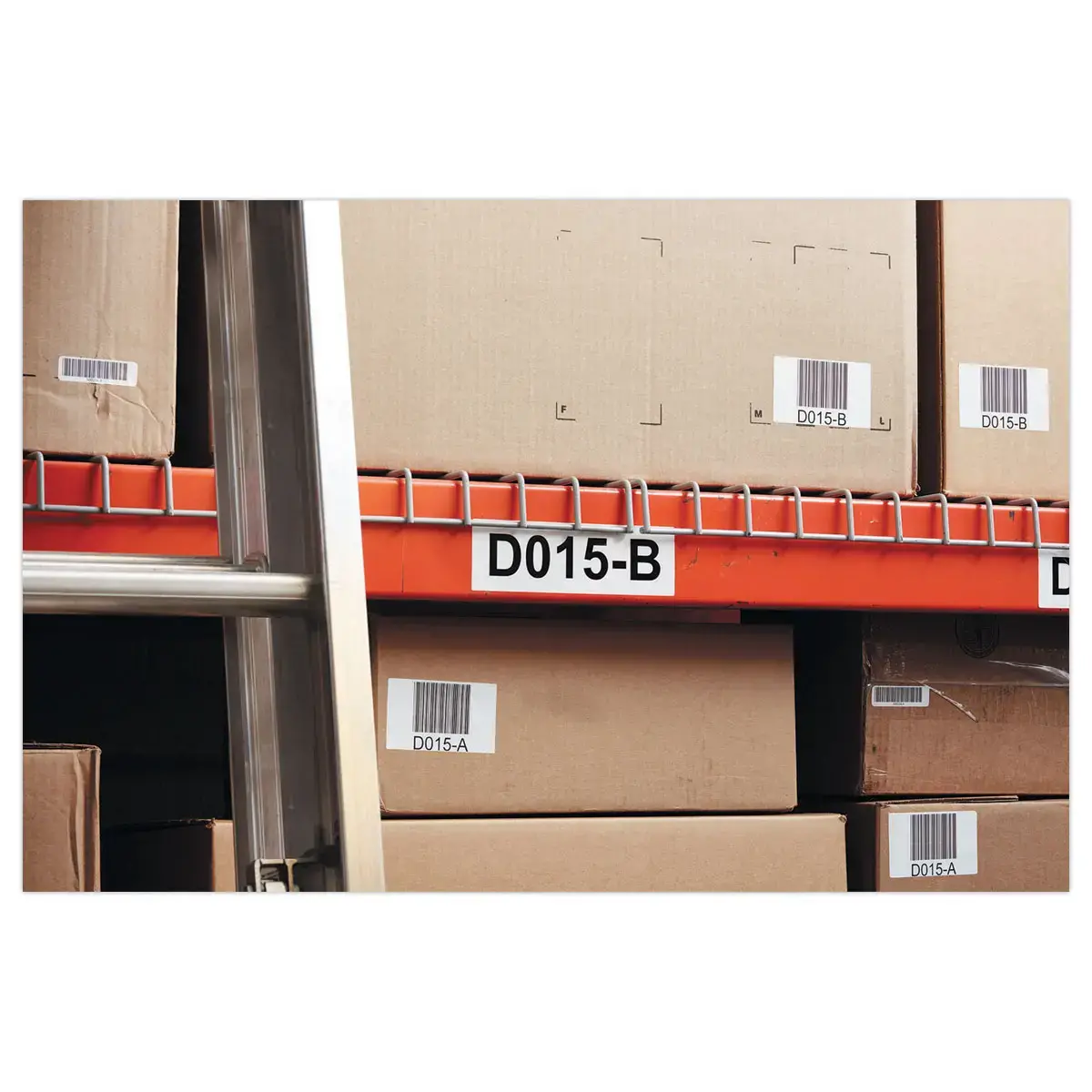 2 rouleaux de 450 étiquettes Durable LW pour code-barres - 19 x 64 mm - DYMO