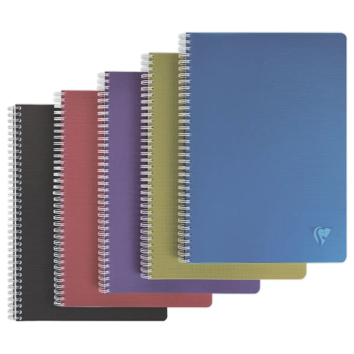 Cahier spirale A4 Linicolor Intense - 100 pages - CLAIREFONTAINE 
